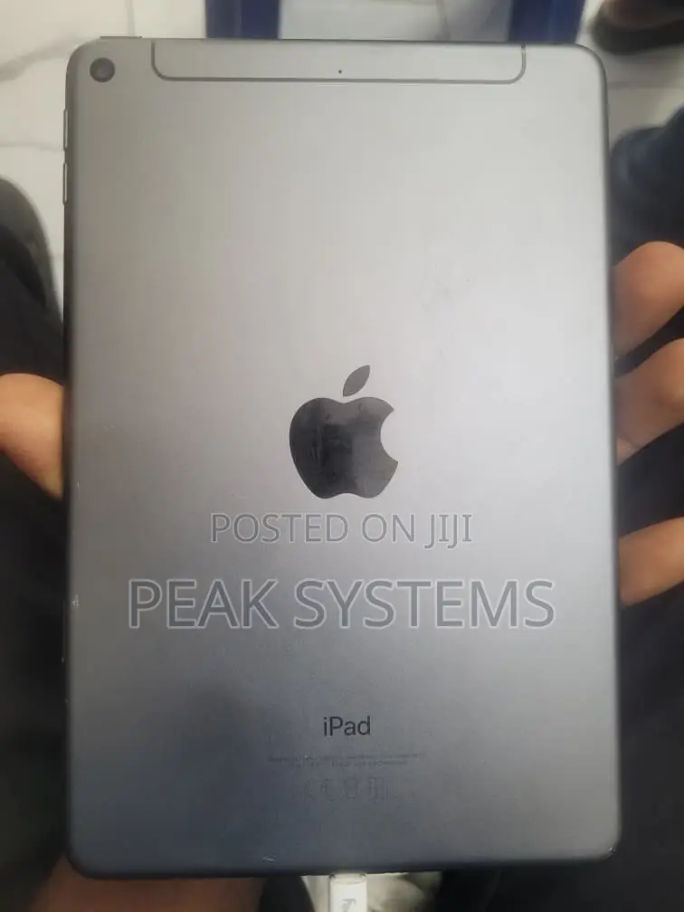Apple iPad mini 5 64 GB Silver