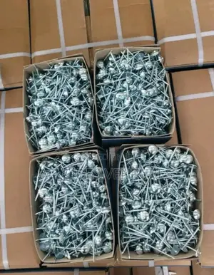 2 1⁄2 Inch Champion Roofing Nails