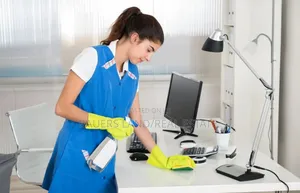 Home Office Cleaning