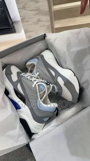 Dior Homme B22 “Gray and Blue”