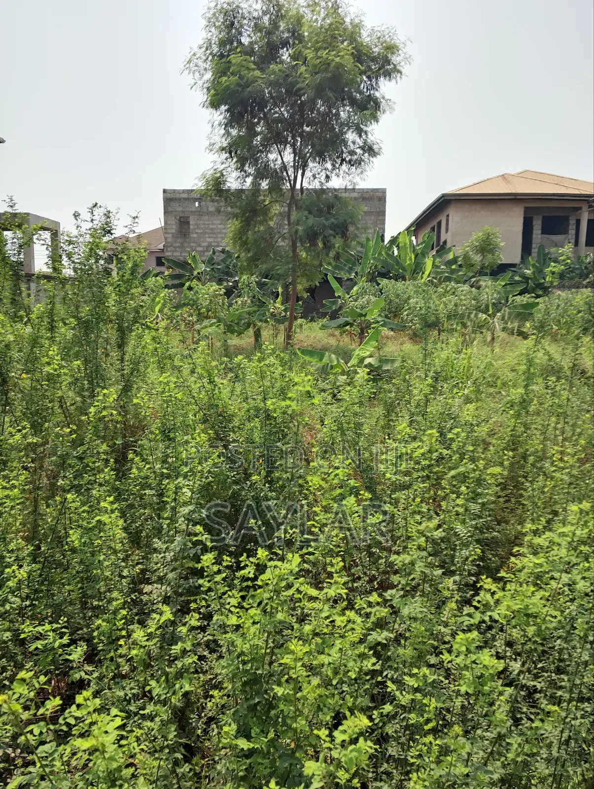 Full Plot Fenced With Gate for Hot Sale Comm25