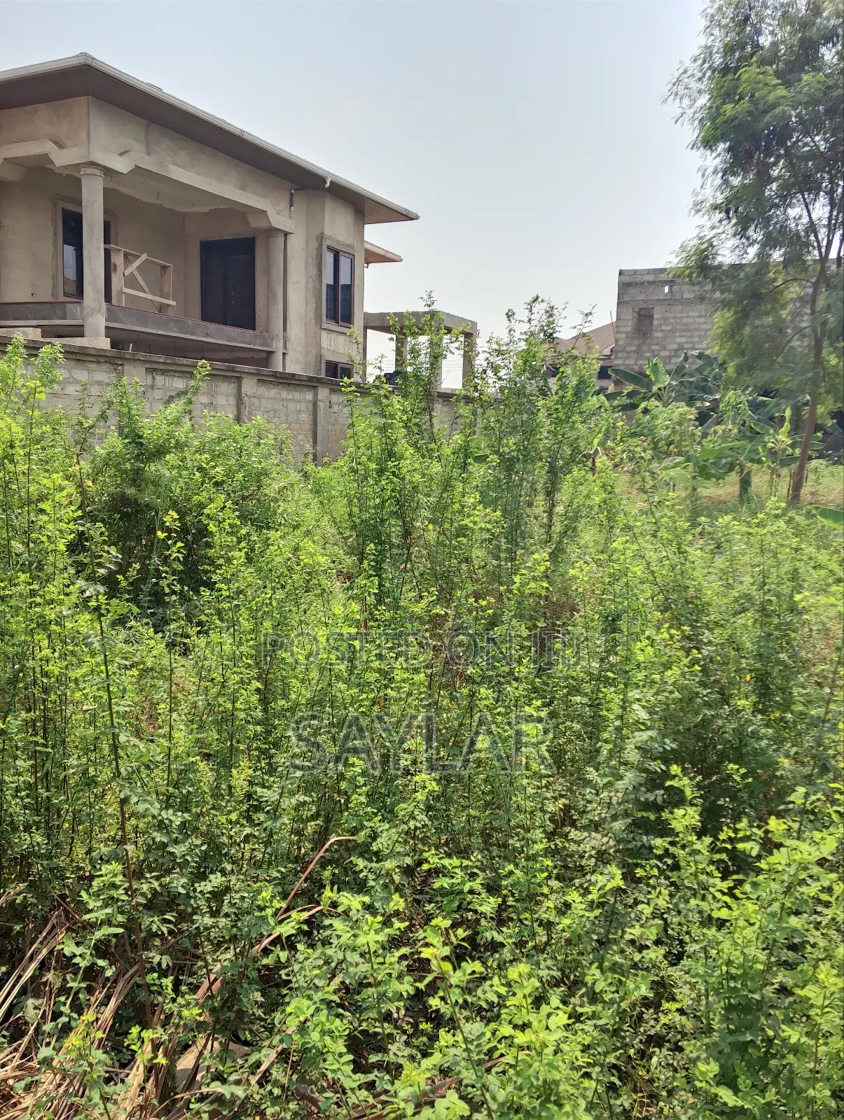 Full Plot Fenced With Gate for Hot Sale Comm25