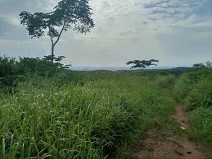 Farmland for Sale