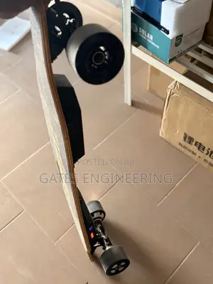 Electric Skate Board
