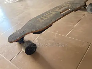 Electric Skate Board