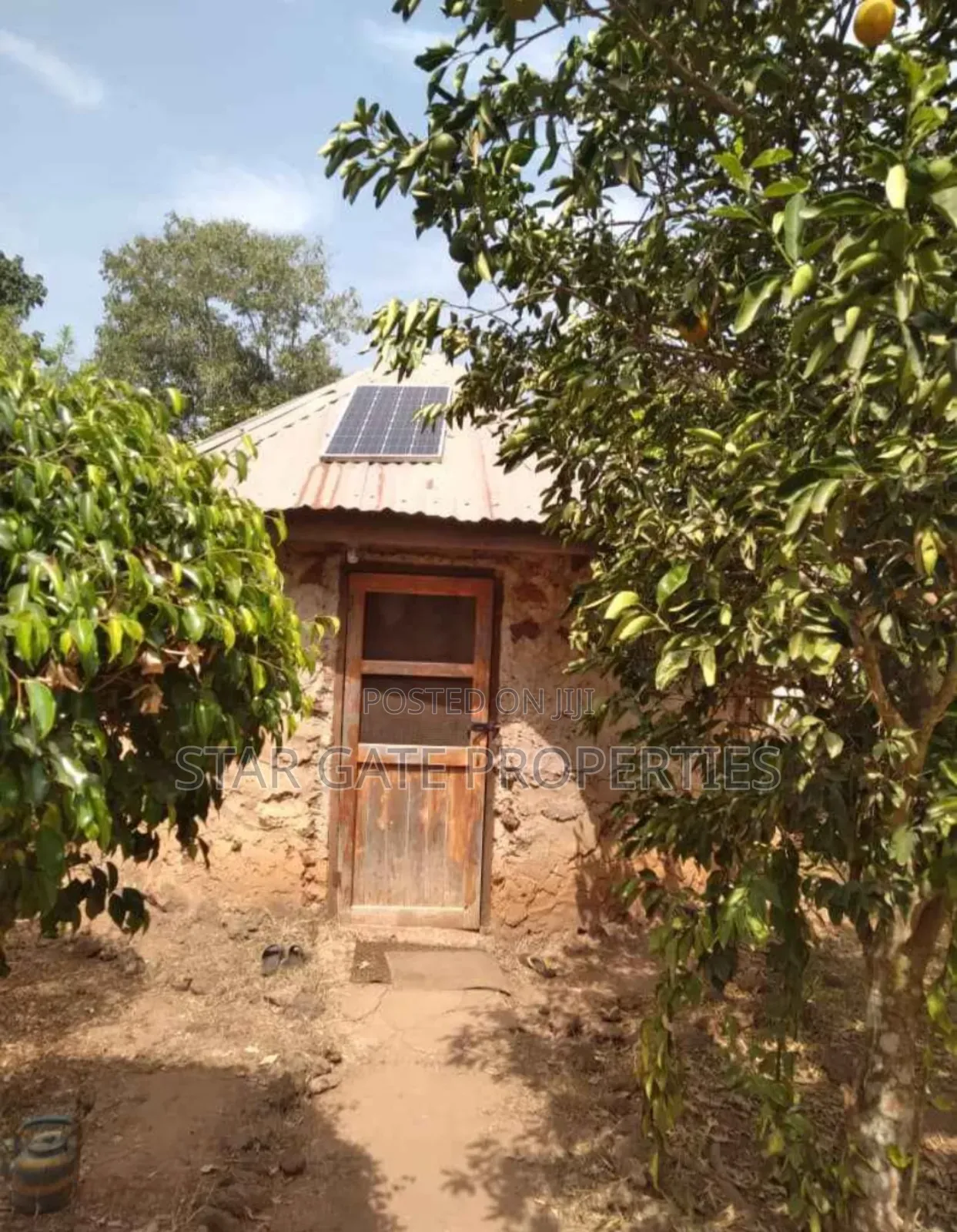 20 Acres Cashew Mango Farm for Sale