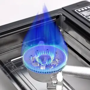 Portable Gas Stove
