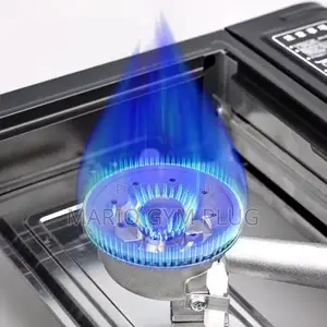 Portable Gas Stove