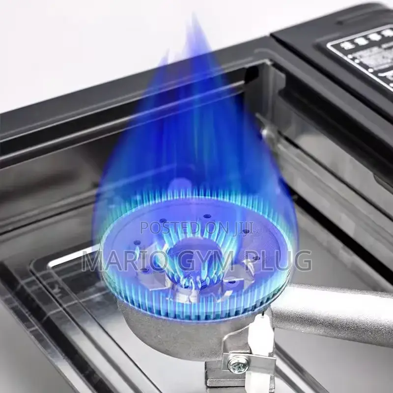 Portable Gas Stove