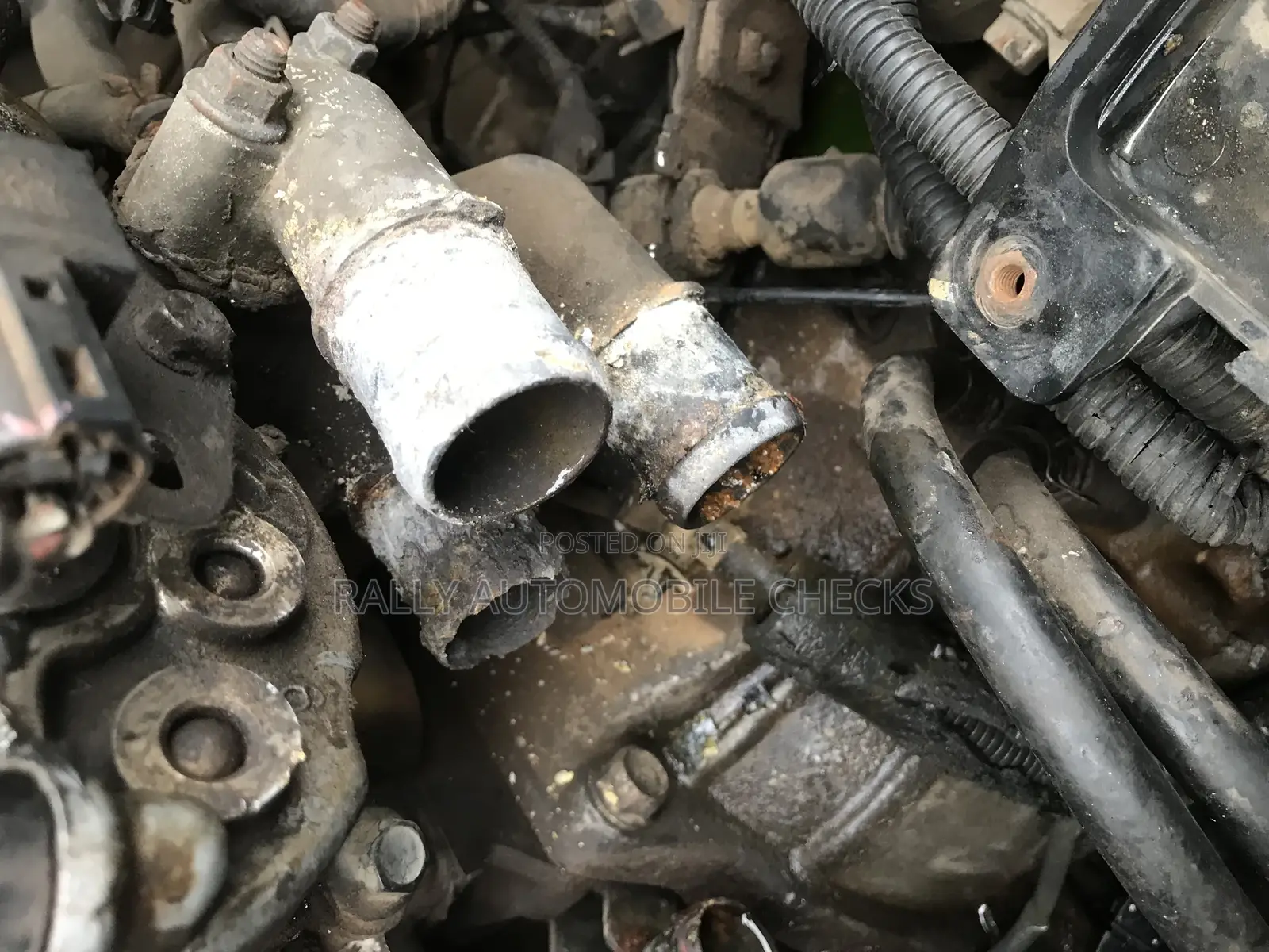 Change Your Water Holes And Clips