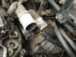 Change Your Water Holes And Clips
