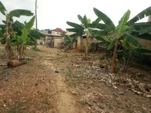 2 Plots for Sale at Atafoa/ Abrepo