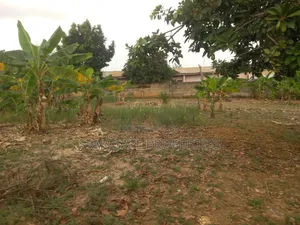 2 Plots for Sale at Atafoa/ Abrepo
