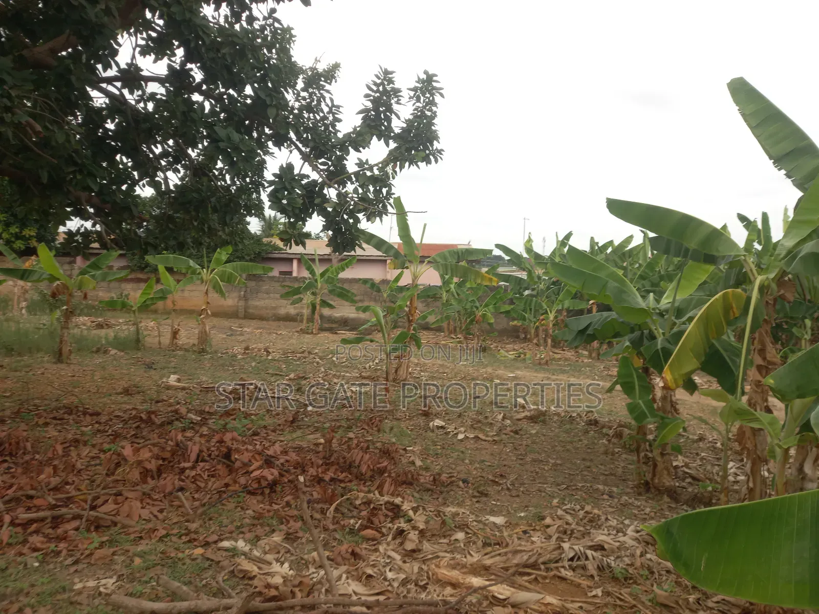 2 Plots for Sale at Atafoa/ Abrepo