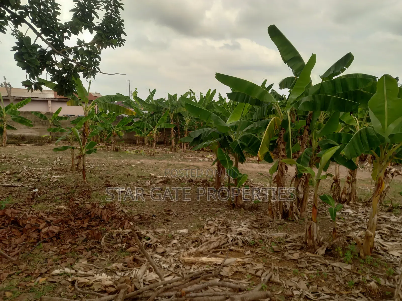 2 Plots for Sale at Atafoa/ Abrepo