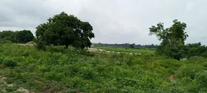 2000 Plots Of Land For Sale/Lease At V/R Dorfor Gborkpo
