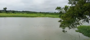 2000 Plots Of Land For Sale/Lease At V/R Dorfor Gborkpo
