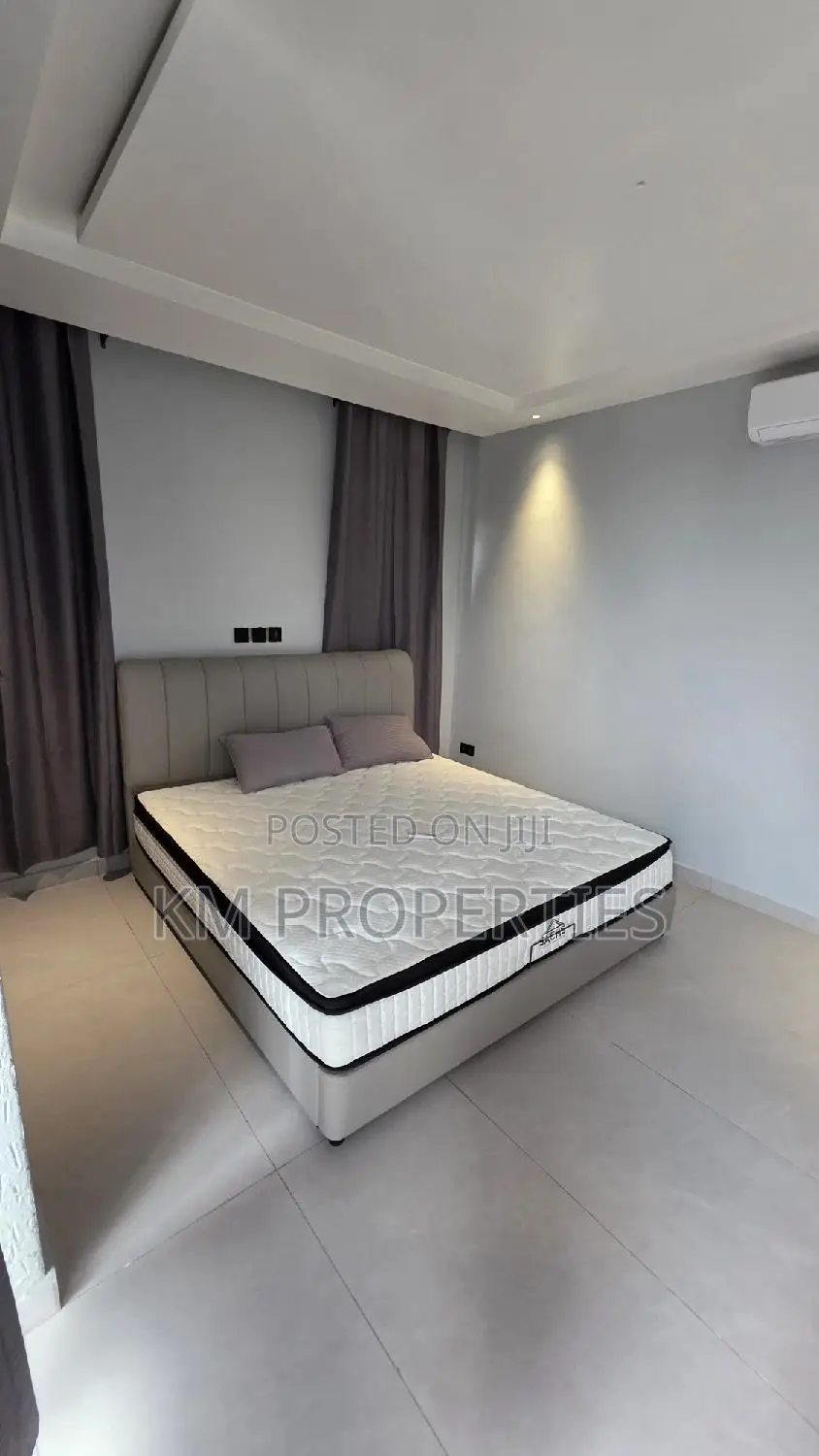 New Build Fully-Furnished 2beds in North-Legon