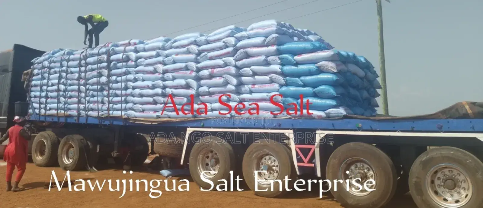 25kg Ada Sea Salt for Bulk Purchase