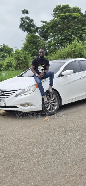Hyundai Sonata GLS Sedan FWD (2.4L 4cyl 6A) 2013 White