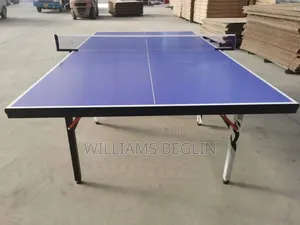 Table Tennis (Foldable)