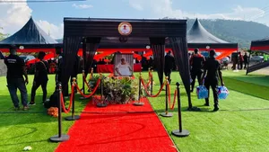 Green Carpet and Decorations for Events