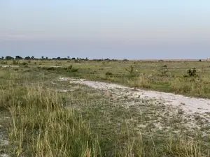 5 Acres Of Title Land For Sale, Located In New Airport Tsopoli