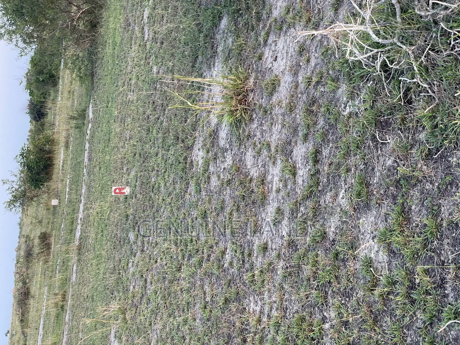 5 Acres Of Title Land For Sale, Located In New Airport Tsopoli