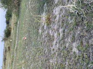 5 Acres Of Title Land For Sale, Located In New Airport Tsopoli