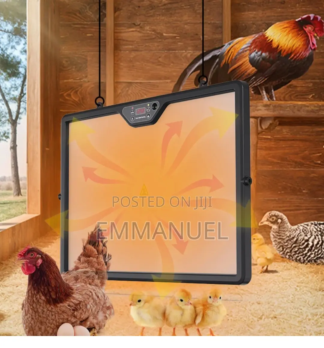 Automatic Brooder System