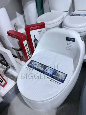 Egg Shaped Wc