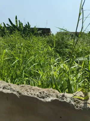 Land for Sale Around Mallam Julikart