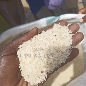 Paddy Rice Available for Sell in Large Quantities