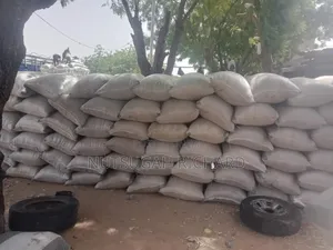 Paddy Rice Available for Sell in Large Quantities