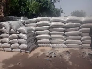 Paddy Rice Available for Sell in Large Quantities