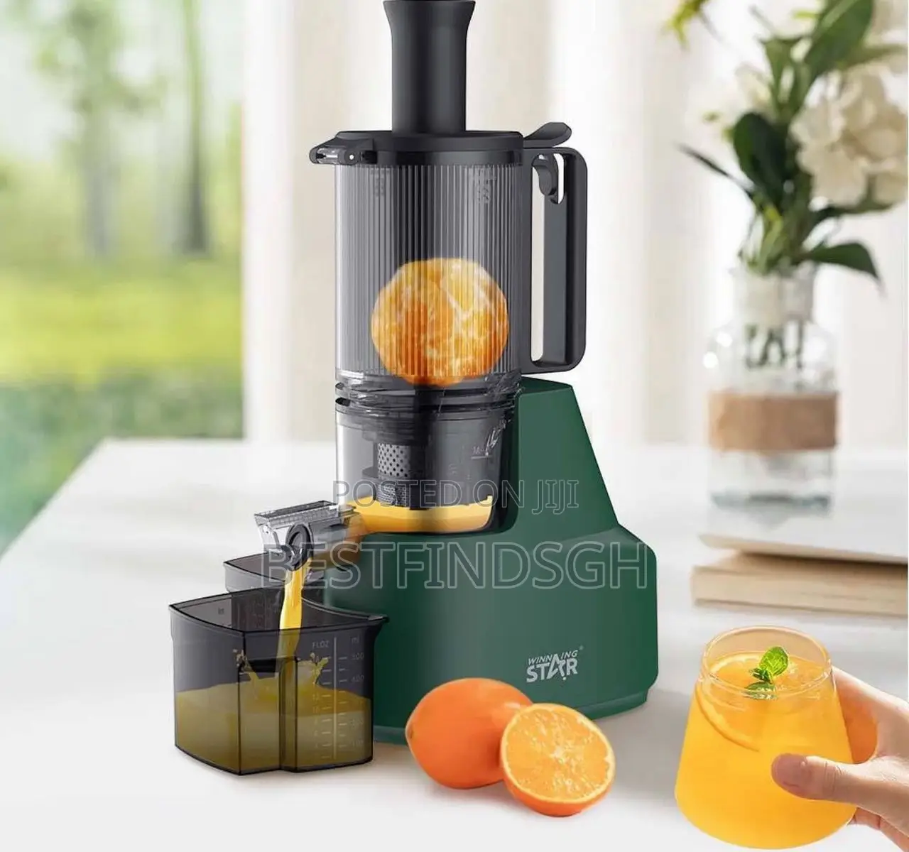 Winning Star High Quality Juice Extractor/Juicer