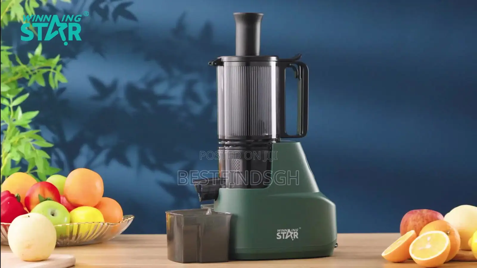 Winning Star High Quality Juice Extractor/Juicer