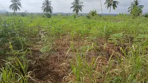 Urgent Land Sale