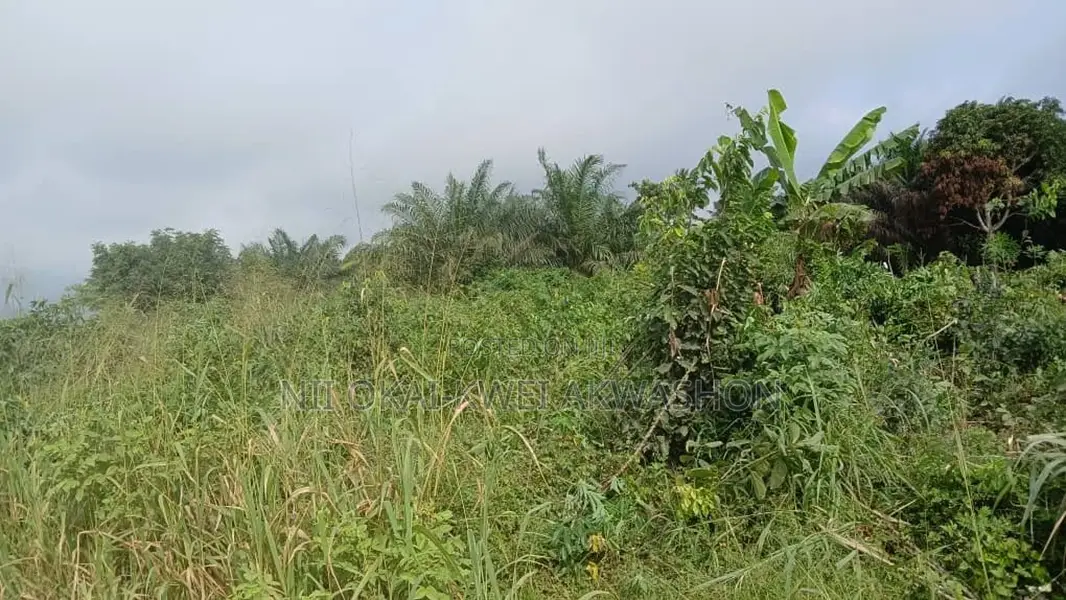 Urgent Land Sale