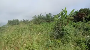 Urgent Land Sale