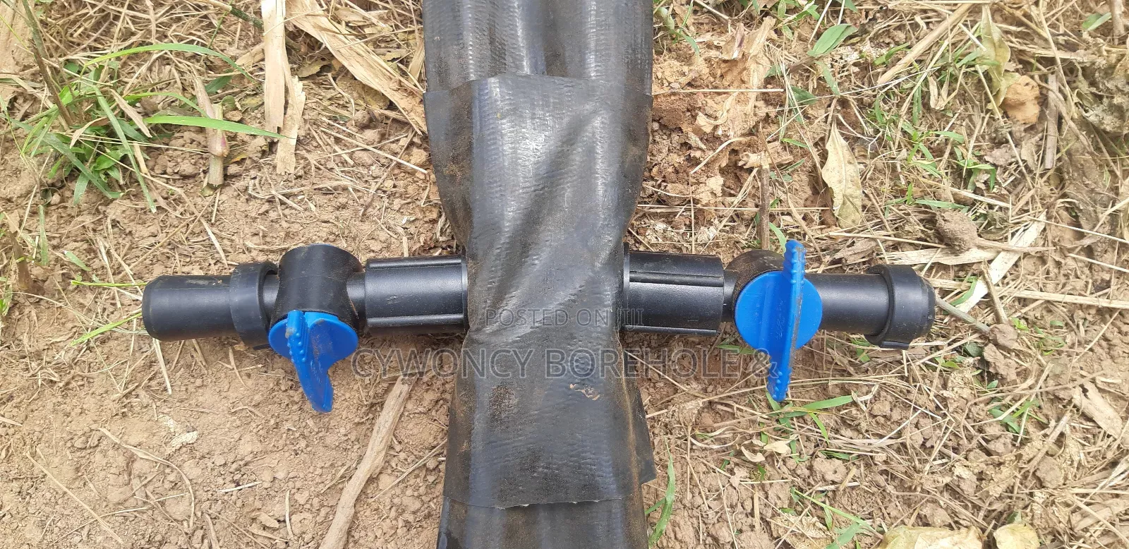 Borehole Drilling and Farm Irrigation