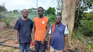 Borehole Drilling and Farm Irrigation