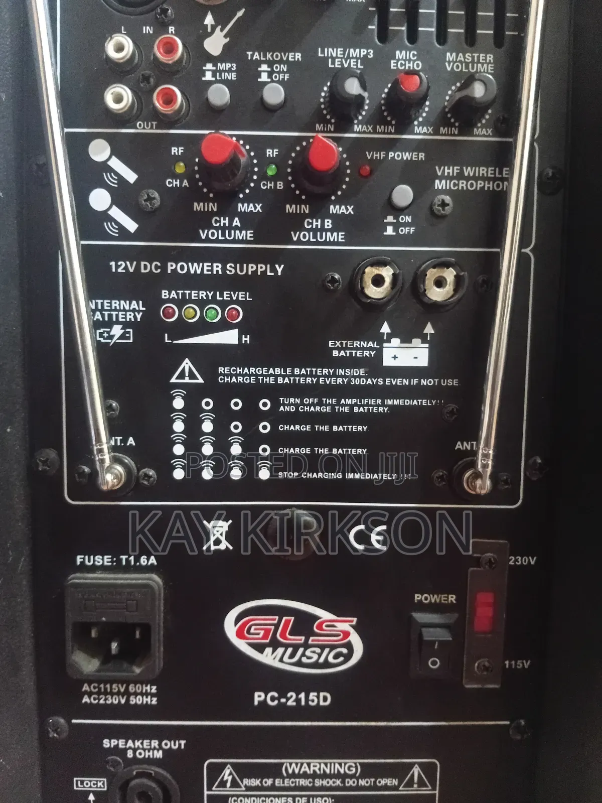Speaker With Wireless Microphone for Rent