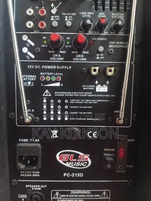 Speaker With Wireless Microphone for Rent