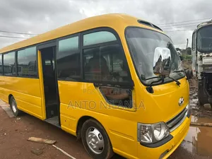 Hyundai County 2012 Orange