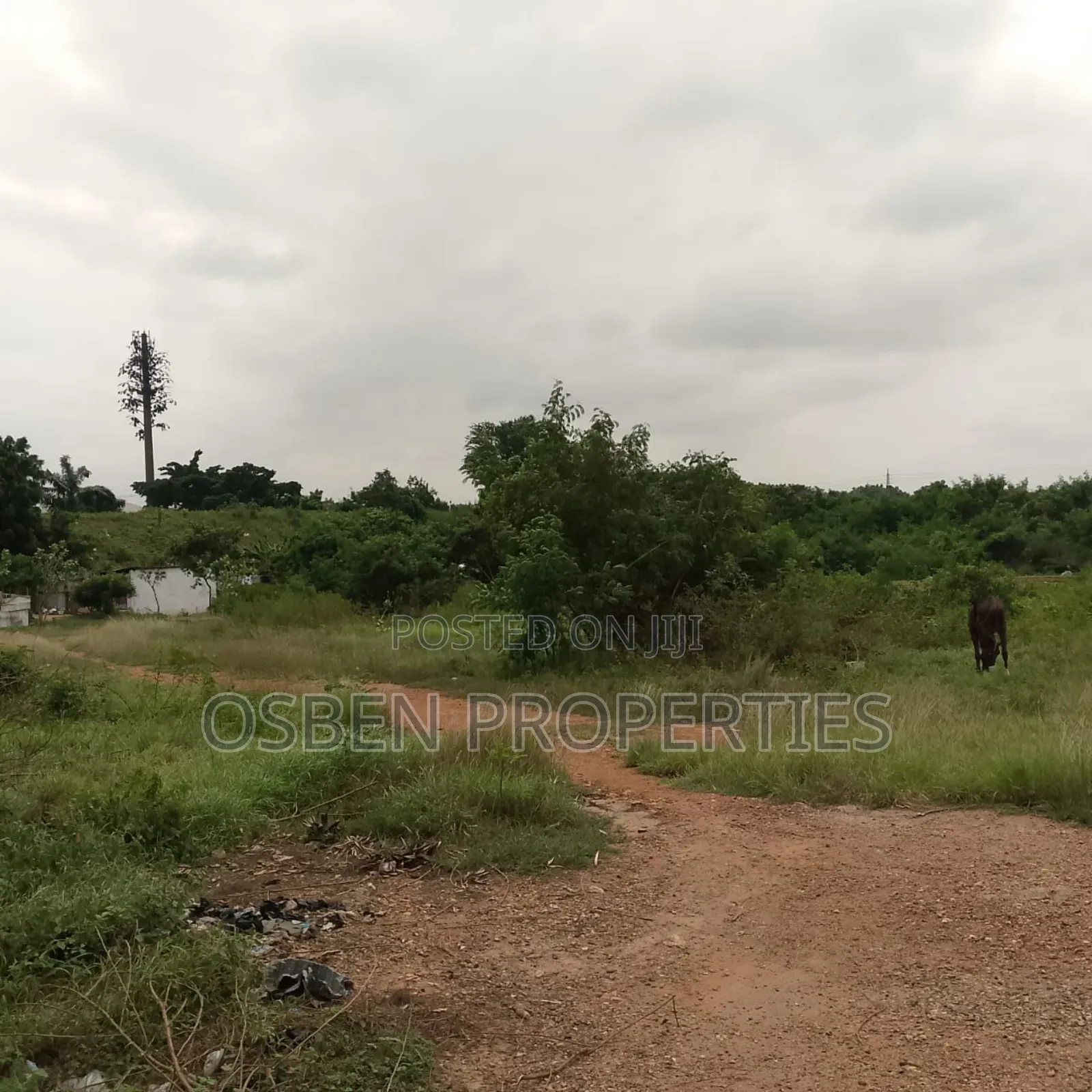 4.65 Acres of Commercial / Residential Land for Sale