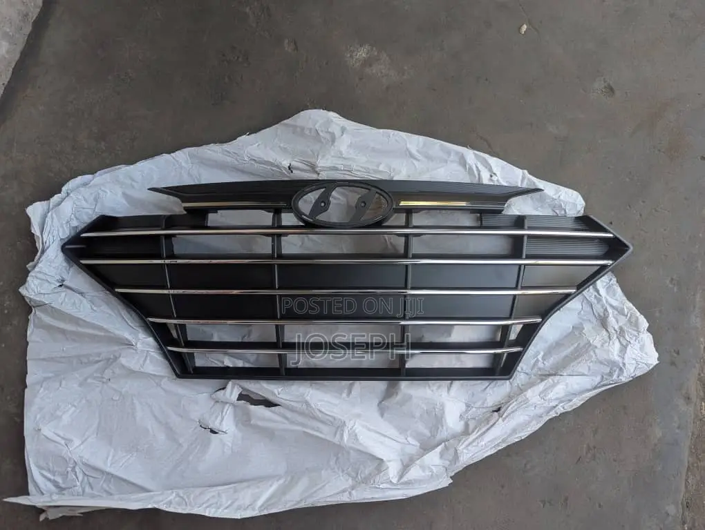 Elantra 2019,2020 Bumper Grille