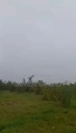 Land For Sale At Amasaman Asalaja