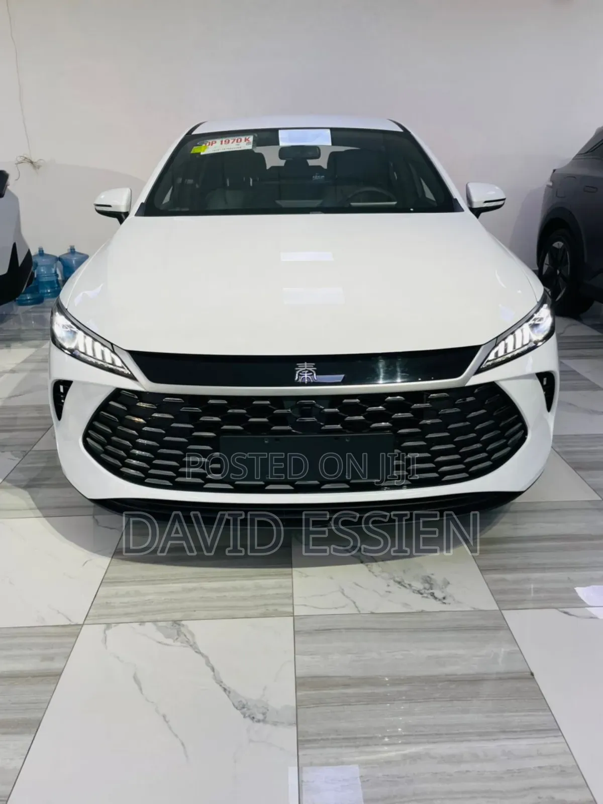 New BYD Qin Plus DM-i 2025 White