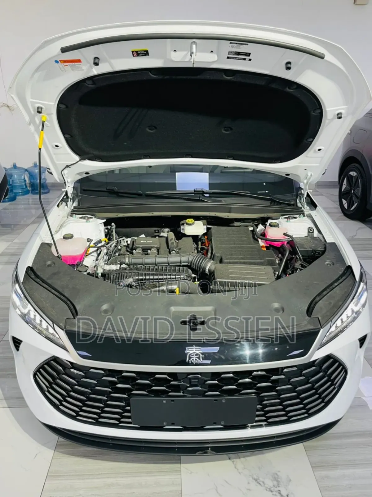 New BYD Qin Plus DM-i 2025 White